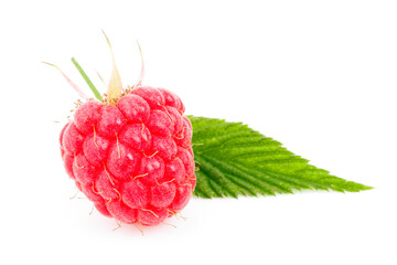 Ripe raspberries on a white background, close-up.