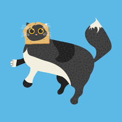 Funny illustration with cat and bread 