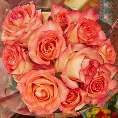 Vibrant orange roses bouquet top view close-up. Lovely, romantic natural pattern.