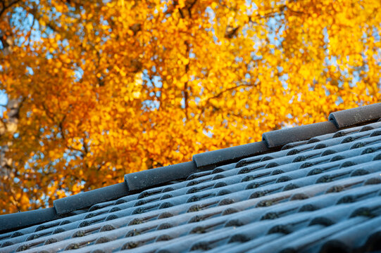 First frost on villa house roof, and orange fall trees