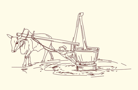 ox cart drawing, brown line art clip art preview