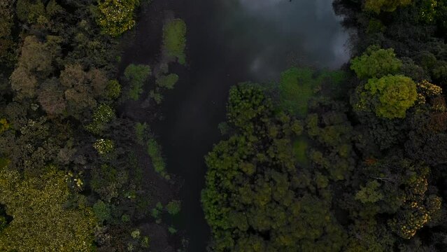 Landscape of a wetland from the sky with a drone in Bogota
