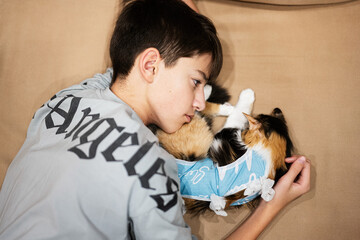 Teenager boy with sleep cat in a bandage after surgery. Care of a pet after cavitary operation sterilization.