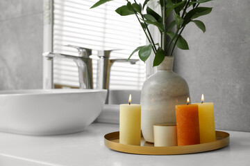 Beautiful plant in vase and burning candles near vessel sink and mirror on bathroom vanity