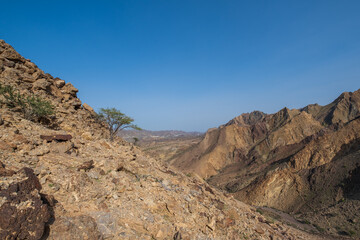 Fototapeta na wymiar Valey in Hajar Hatta mountains in Dubai, UAE
