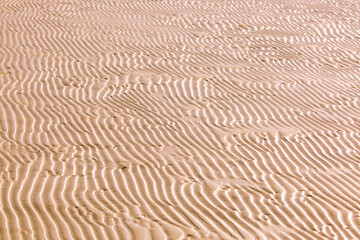 Obraz premium Sandy beach for background. The texture of the sand. Top view of dunes in the desert.