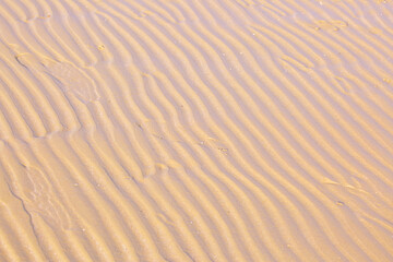 Sandy beach for background. The texture of the sand. Top view of dunes in the desert.