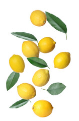 Fresh ripe lemons and green leaves falling on white background