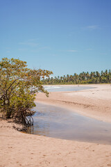 Praia de Bainema