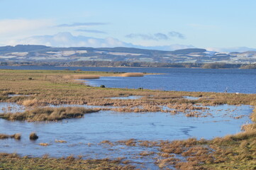 landscape with lake and mountains