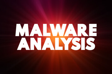 Naklejka na ściany i meble Malware Analysis text quote, concept background
