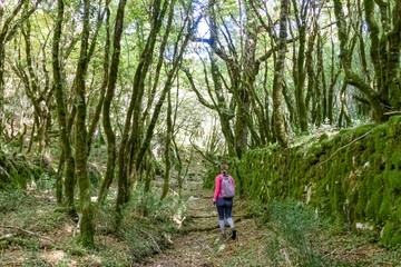 Fototapeta na wymiar Woman on hiking trail through enchanted ancient laurel sub tropical forest in the Dinaric Alps mountain range near Kotor, Montenegro, Balkans, Europe. Dense diversified fauna. Path overgrown with moss