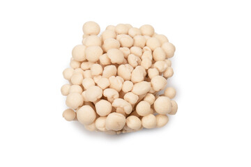 White beech mushrooms isolated on a white background.
