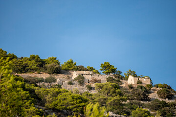 Fototapeta na wymiar old, ruined, stone houses built on the steep slopes of Brac island hills, hidden by pine trees and lit by summer sun under the clear, blue sky.