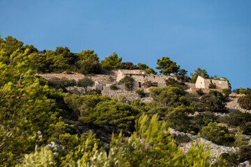 Old, ruined, stone houses built on the steep slopes of Brac island hills, hidden by pine trees and lit by summer sun under the clear, blue sky.