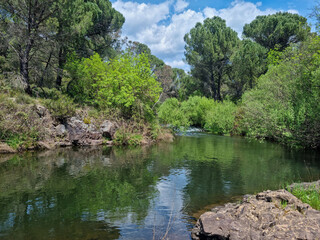 Beautiful panoramic view of a river in nature