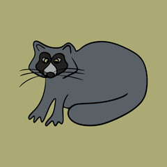Vector isolated illustration of a raccoon with outline.