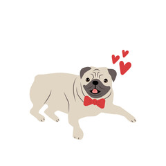 A pug dog in a bow tie with hearts on a white background. Card of a Valentine's Day. Card, t-shirt composition, hand drawn style print. Vector illustration.