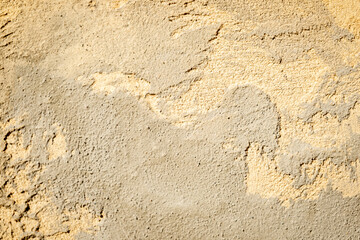 Two-tone Ecru Background