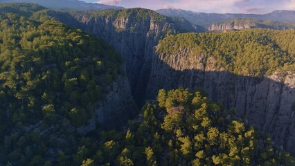 Aerial drone view of big canyon in sunny weather. Green trees and gray rocks. Mountain landscape. Blu sky