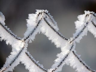 A frozen chain-link fence covered with snow in a sunny winter day