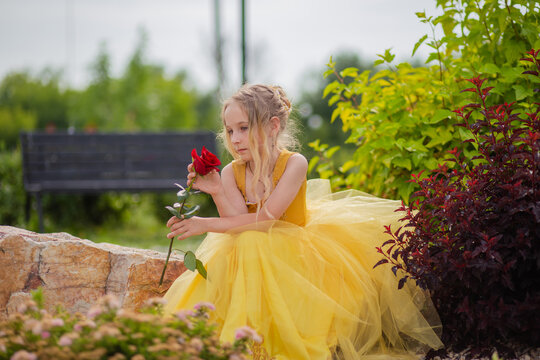 A little girl with blond hair in a lush yellow dress walks in the park with a red rose. Princess image.