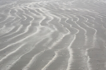 Fototapeta na wymiar Beach, wavy pattern of sand and white material, consisting of small fragments of shells