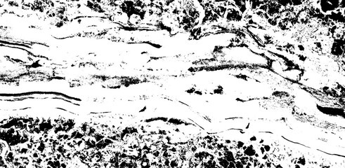 Rough black and white texture vector. Distressed overlay texture. Grunge background. Abstract textured effect. Vector Illustration. Black isolated on white background. EPS10