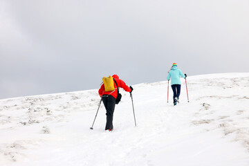 Group of brave tourists with backpacks and trekking sticks walking uphill in winter mountains, through snow and heading to mountaintop. Concept of mountaineering, alpinism and alpine climbing