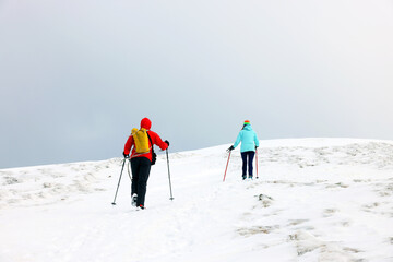 Group of brave tourists with backpacks and trekking sticks walking uphill in winter mountains, through snow and heading to mountaintop. Concept of mountaineering, alpinism and alpine climbing