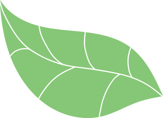 Green leaf sign. Eco label. Bio emblem