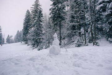 Snowman in the mountain forests among the trees