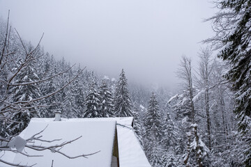 Hut in the mountains with trees in the background with a snowy view among the fog