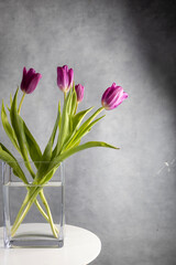 Bouquet of pink tulips on light gray background