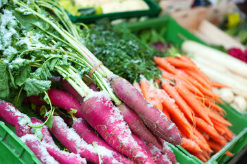 schneebecktes Gemüse auf dem Markt
