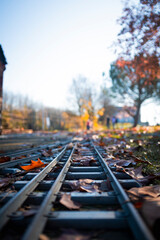 Railroad track on an autumn forest landscape