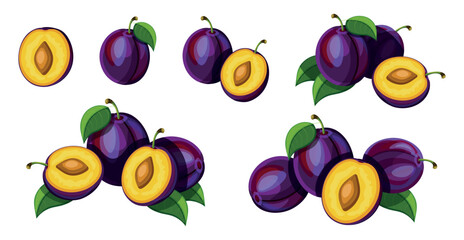 Set of fresh purple plums in cartoon style. Vector illustration of tasty fruits whole and cut, large and small sizes with green leaves isolated on white background.