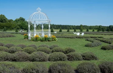 Deurstickers a white gazebo sits in the field surrounded by a lavender farm © David Halgrimson