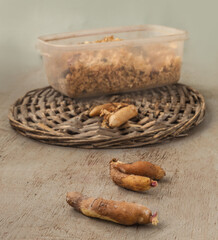 Gloriosa rhizomes in spring