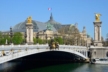 Pont Alexandre III et Grand Palais à Paris, France