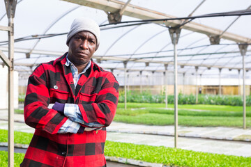 Portrait of male hired worker in a greenhouse where flowers are grown