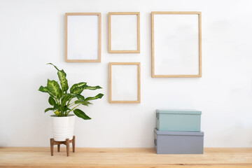 Fototapeta na wymiar Gallery wall still life. Wooden desk table, houseplant, metal boxes and a set of empty picture frames mockup, Scandinavian decoration. Home office concept. Elegant space. 