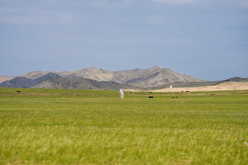 saudi arabian mountains with greenery 