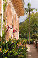 Sintra garden with Bird of Paradise