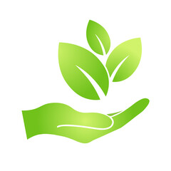 Hand with eco green leaf icon Bio nature green eco symbol for web and business