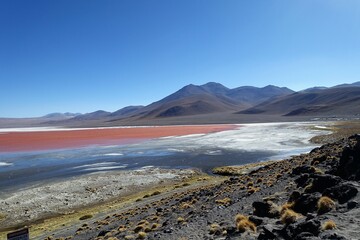 A lake whose water is colorful due to minerals in the ground, located in high land of Bolivia