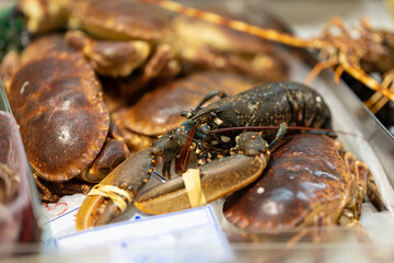 Newly caught lobsters and crabs are sold on the market