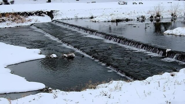 京都の冬景色，京都府京都市，鴨川は、桟敷ケ岳付近を源とし桂川の合流点に至るまで京都市内の南北を流れる約23kmの河川です。悠久の歴史の中で千年の都と京文化を育んできた川であり、今も大都市にあって清澄さを保ち、憩いの場として多くの人に親しまれています。冬，京都，日本，風景,，旅行，自然，木，背景，光，観光スポット