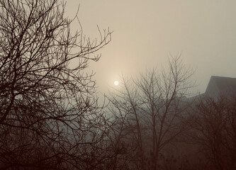 The moon in the fog