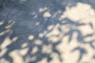 Tree leave shadow on street concrete floor background. Abstract background for product presentation. Sunshade shadow